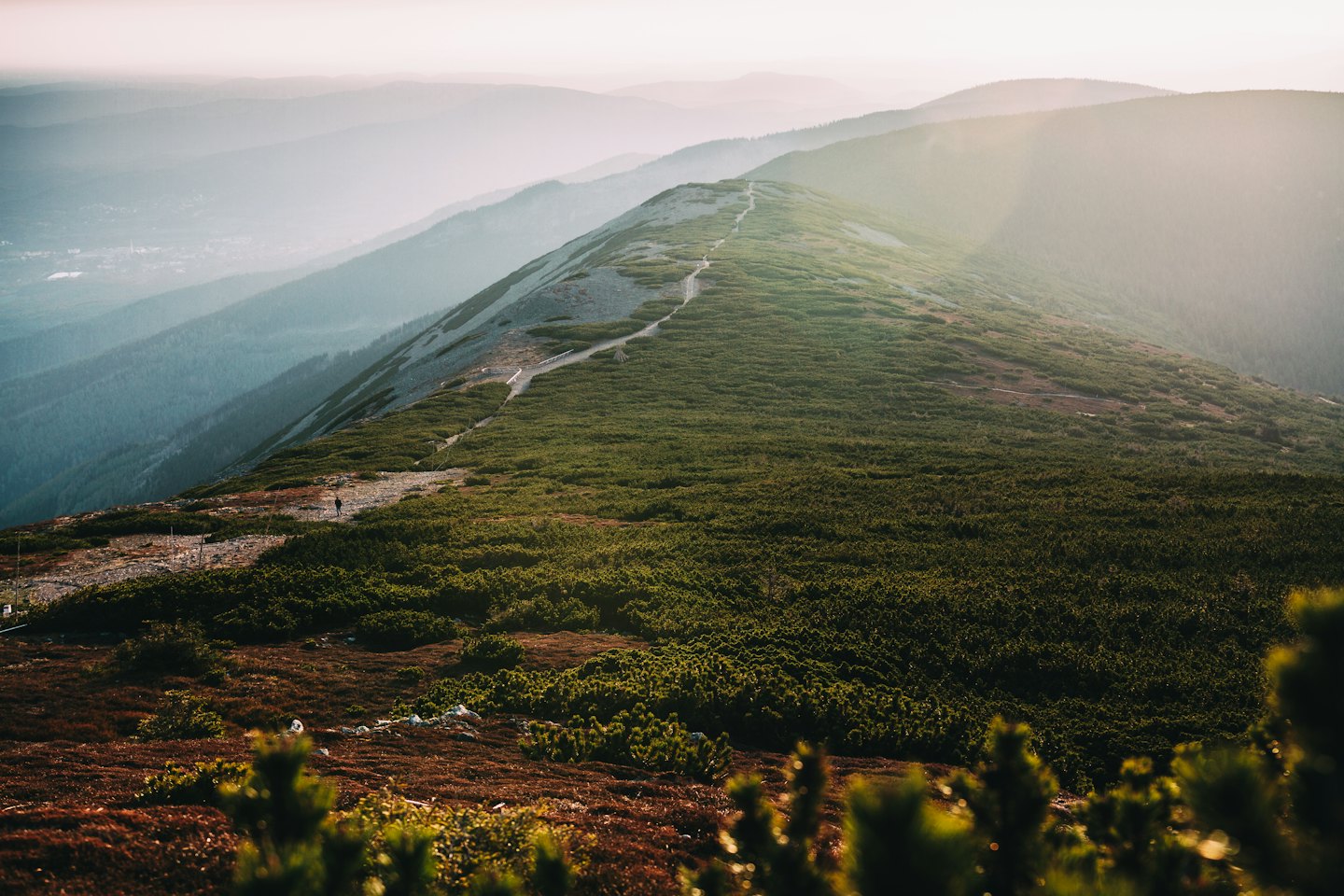 Person walks a winding dirt path on a sunny mountain ridge.
